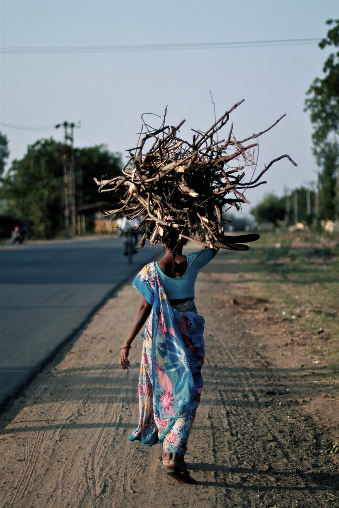 Gather wood