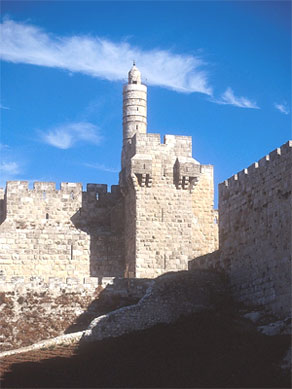 Citadel David