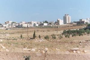 Bethlehem shepherd field