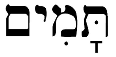 Risultati immagini per tamim hebrew