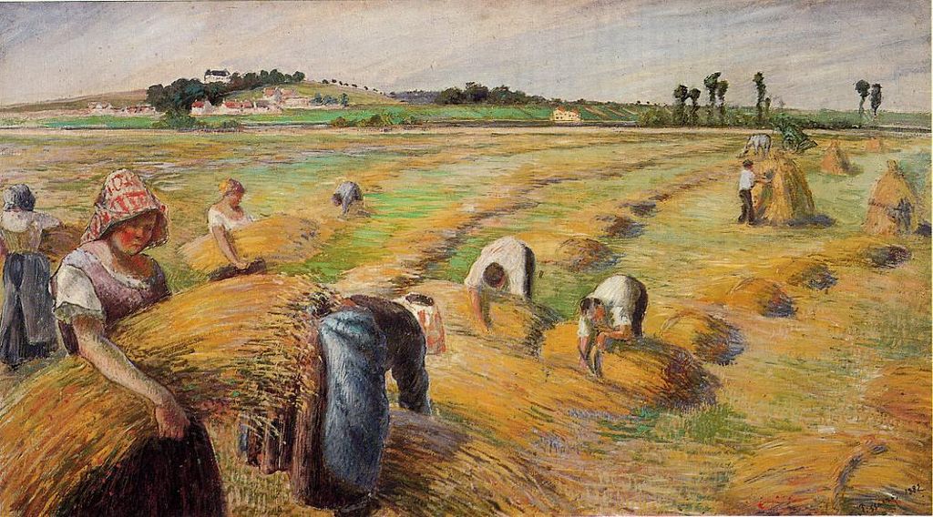 Workers in field